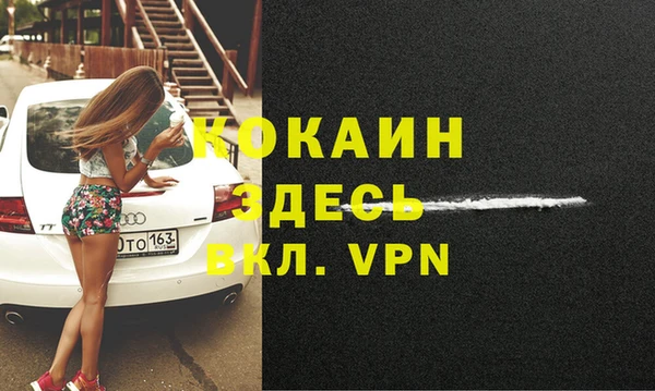 индика Богданович