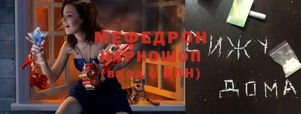 индика Богданович