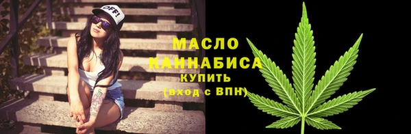 индика Богданович