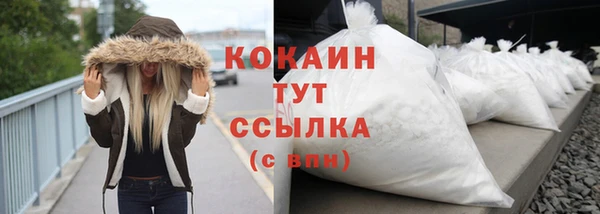 индика Богданович