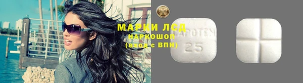 индика Богданович