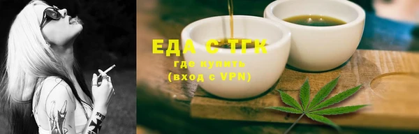 индика Богданович