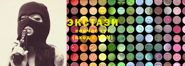 индика Богданович